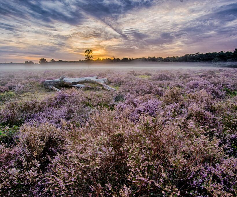 Genieten van culinaire momenten in het hart van Noord-Brabant